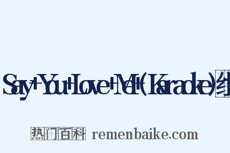 Say+You+Love+Me+(Karaoke)组词是什么意思的图片